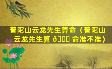 普陀山云龙先生算命（普陀山云龙先生算 🐞 命准不准）
